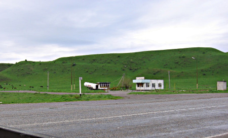 Beside a road, there is a green grass hill, with some cattle grazing.