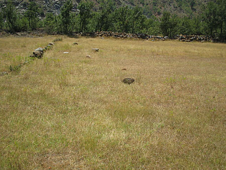 A grass field with a few rocks, apparently scattered randomly.