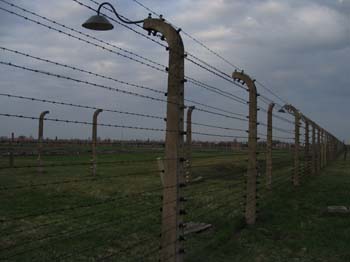 Auschwitz barbed wire