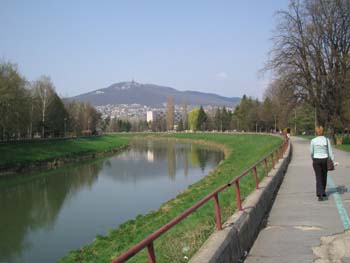 The river Nitra in the springtime